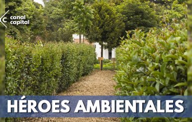 Jardín Botánico de Bogotá produjo cerca de 150 toneladas de abono en 2018