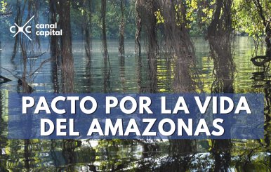 Amazonas