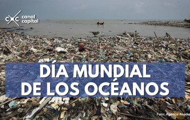 dia-mundial-oceanos