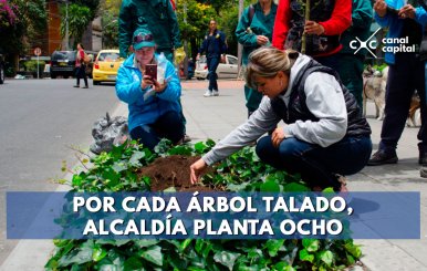 enrique-peñalosa-suspension-tala-arboles