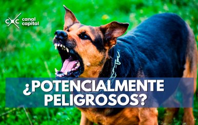 ¿Potencialmente-peligrosos-