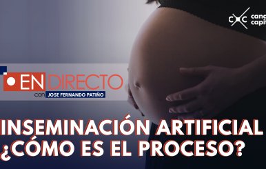 previsualizacion en directo