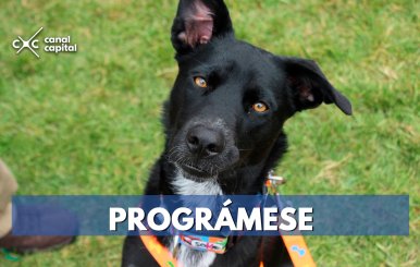 PROGRÁMESE