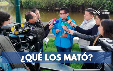 ¿Qué-los-mató-