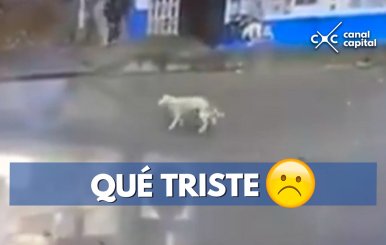 QUÉ-TRISTE