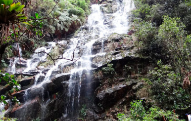 QUEBRADA LAS DELICIAS (OBSERVATORIO AMBIENTAL)