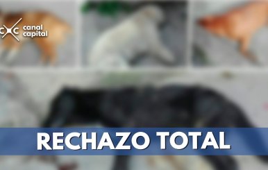 RECHAZO-TOTAL