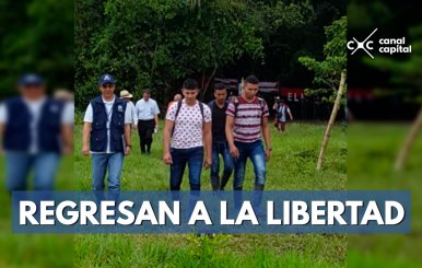 Regresan-a-la-libertad