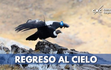 REGRESO-AL-CIELO