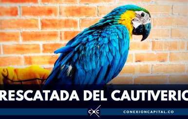 RESCATADA-DEL-CAUTIVERIO