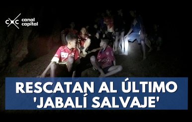 Rescatan-al-último-'Jabalí-Salvaje'-