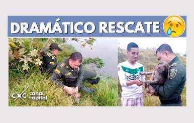 rescate-milo