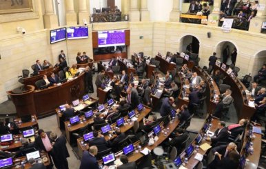 senado