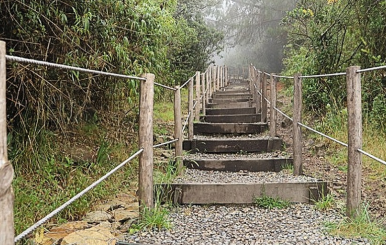 Sendero Guadalupe Aguanoso