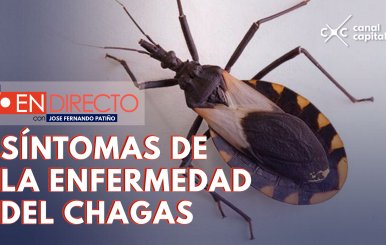 ¿Qué es la enfermedad de Chagas?