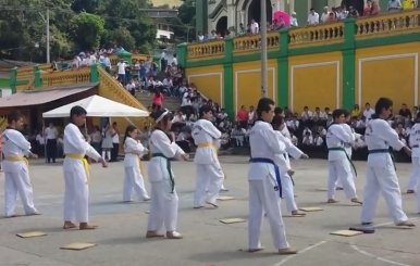 Taekwondo