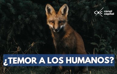 ¿TEMOR-A-LOS-HUMANOS--