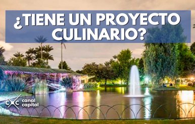 ¿TIENE-UN-PROYECTO-CULINARIO-