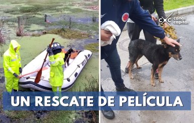 Un-rescate-de-película