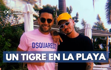 UN-TIGRE-EN-LA-PLAYA