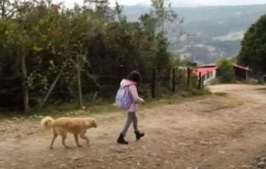 Caminado al colegio