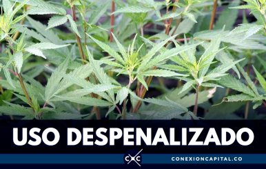 Descriminalizan consumo de marihuana en Nueva York