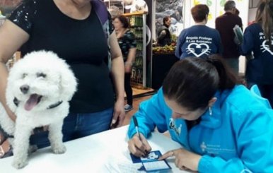 Vacunación perros y gatos contra la rabia.