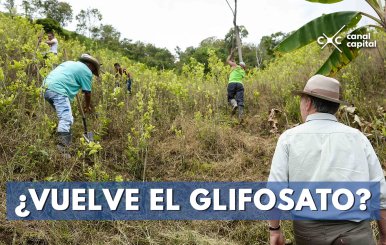 ¿VUELVE-EL-GLIFOSATO-