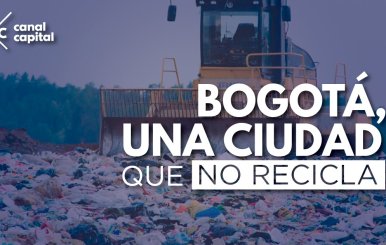 Bogotá, una ciudad que no recicla