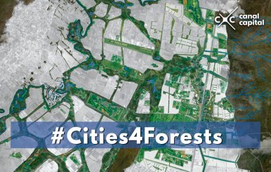 Cities4Forests