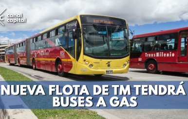 buses-transmilenio