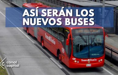 buses-tm