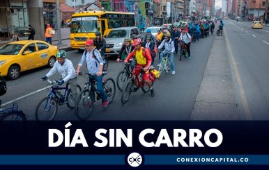 dia-sin-carro