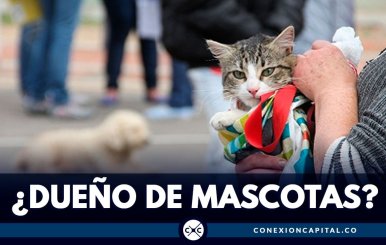 esterilizacion-mascotas