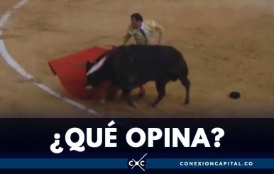 Corridas de toros