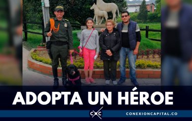 adopte-heroe-canino