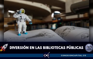 vacaciones-bibliotecas-publicas