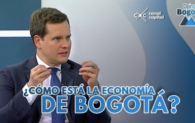 secretario-economico