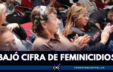 cifra-feminididios-baja