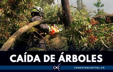 caida-arboles-bogota