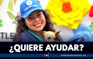 convocatoria-ayudar-animales