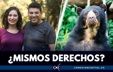 derechos de los animales