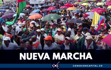 marcha-profesores-amenazas