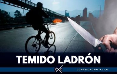 cae-ladron-bicicletas