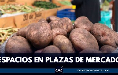 campesiinos-productos-plazas-mercado