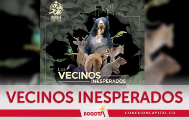 Proyección de Vecinos Inesperados