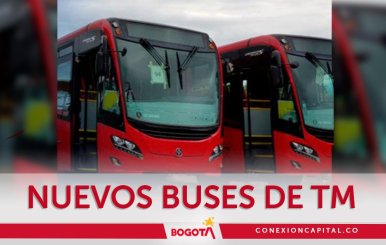 Nuevos buses a gas para TM