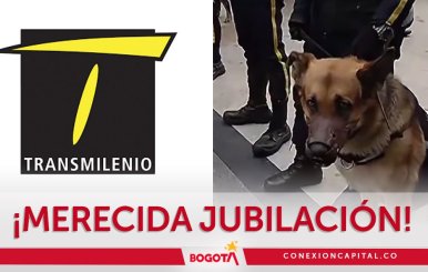 Perros de vigilancia se retiran de las estaciones de TransMilenio