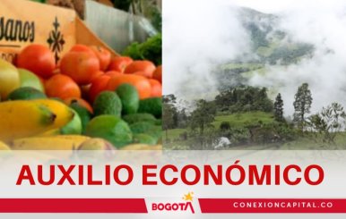 Auxilio económico a campesinos por heladas