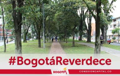 Bogotá Reverdece